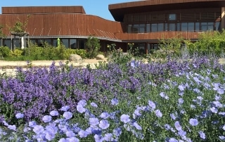le jardin fleuri du Biopôle de Léa Nature à La Rochelle