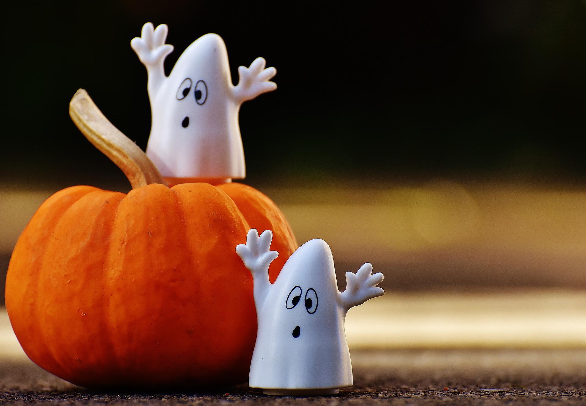 Les conseils du BiO'Pôle pour un Halloween responsable